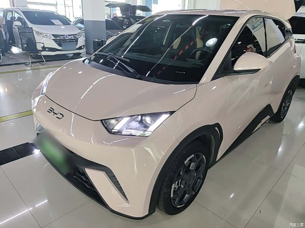 BYD Seagull, 2024 1