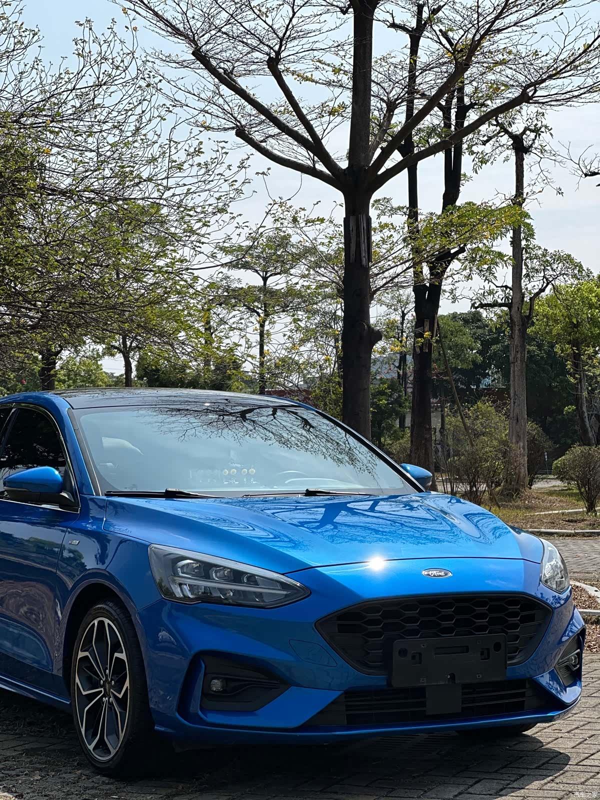 Ford Focus, 2021 все фото