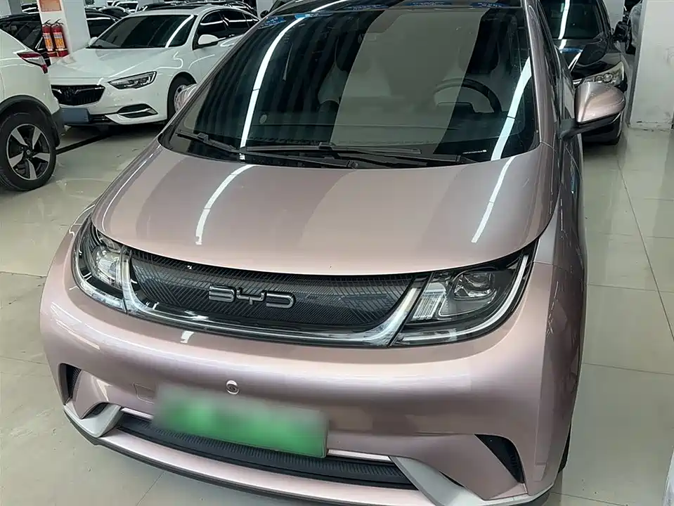 BYD dolphin