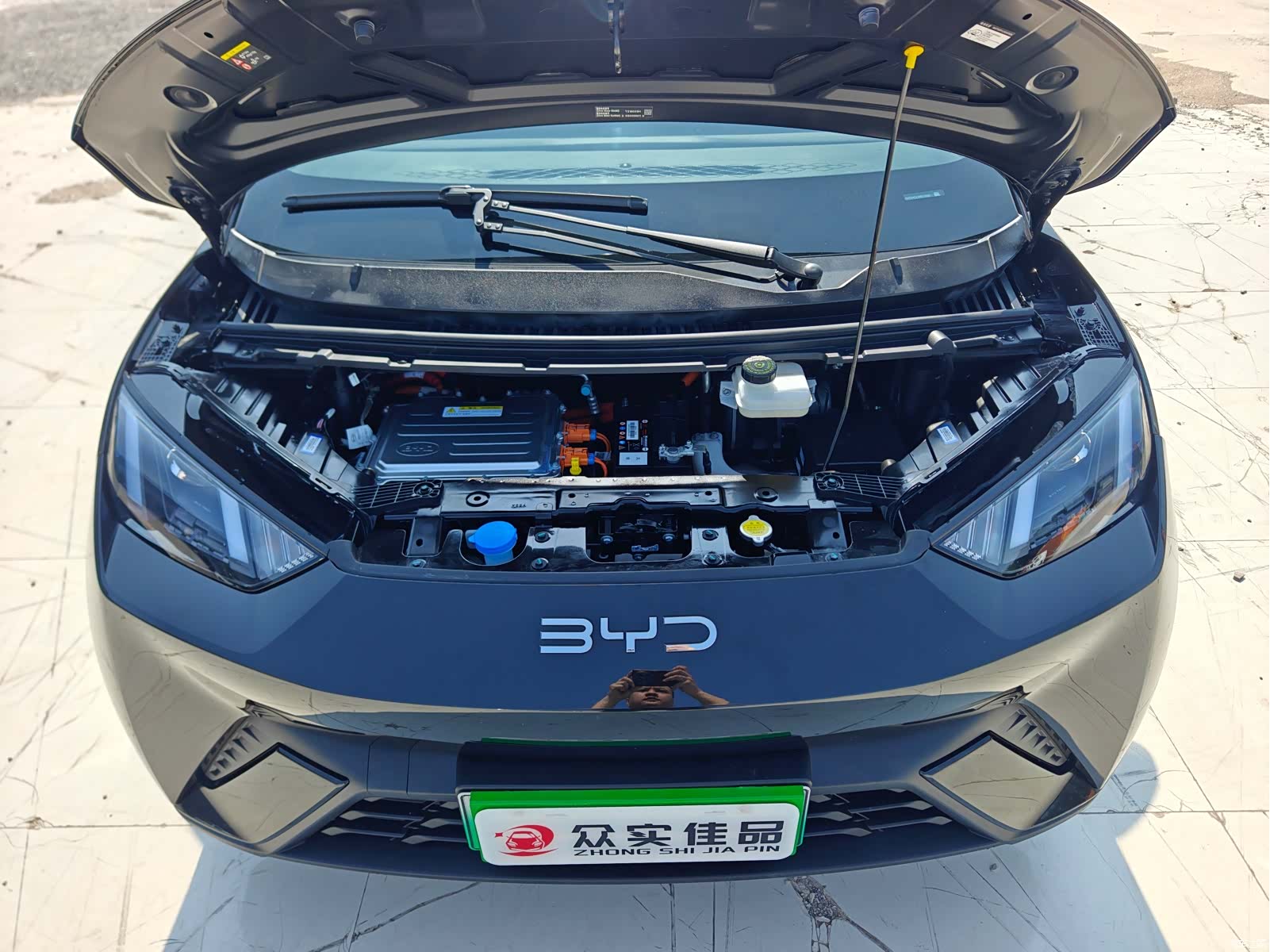 BYD Seagull, 2024 25