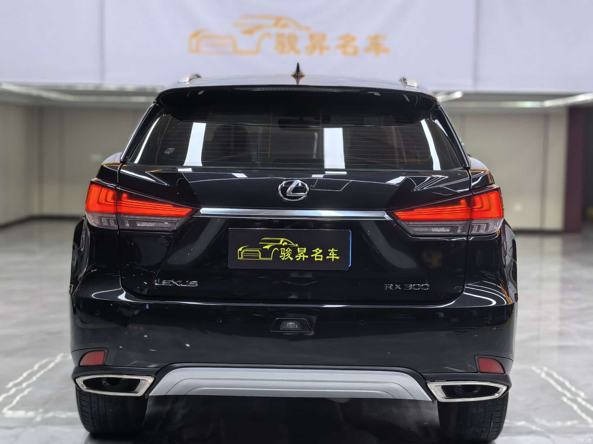 Lexus RX, 2021 все фото