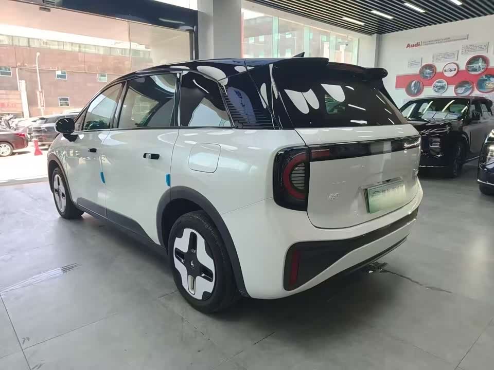 ARCFOX Polar fox koala