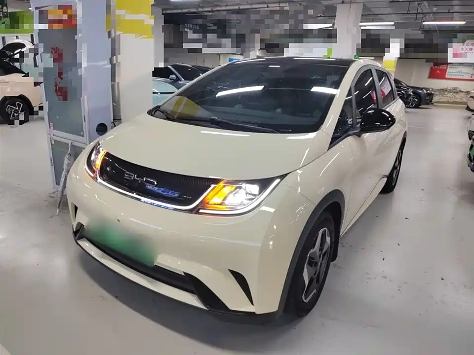 BYD dolphin