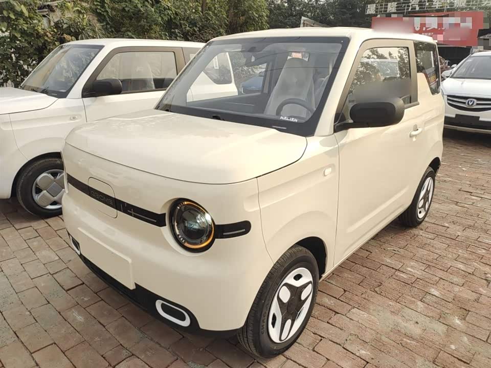 Geely Galaxy panda