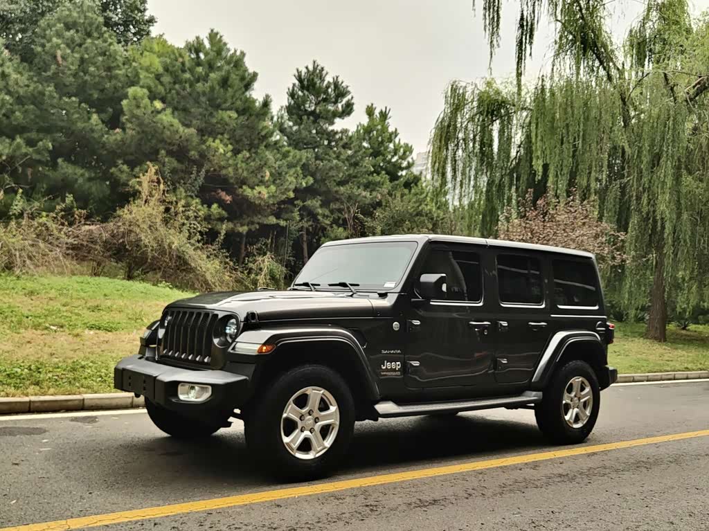 Jeep 2019 2.0T Sahara VI
