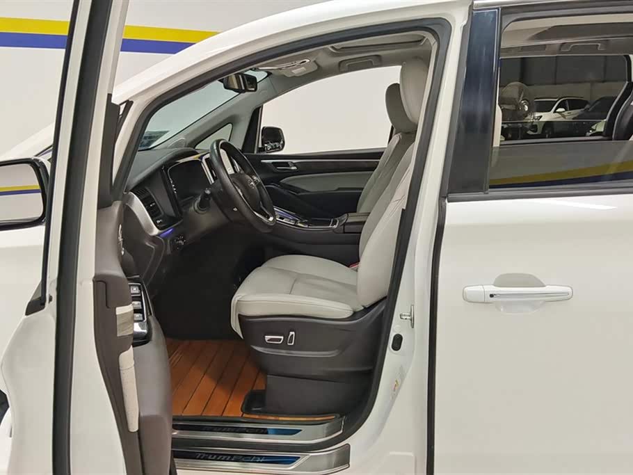 Trumpchi Trumpchi M8