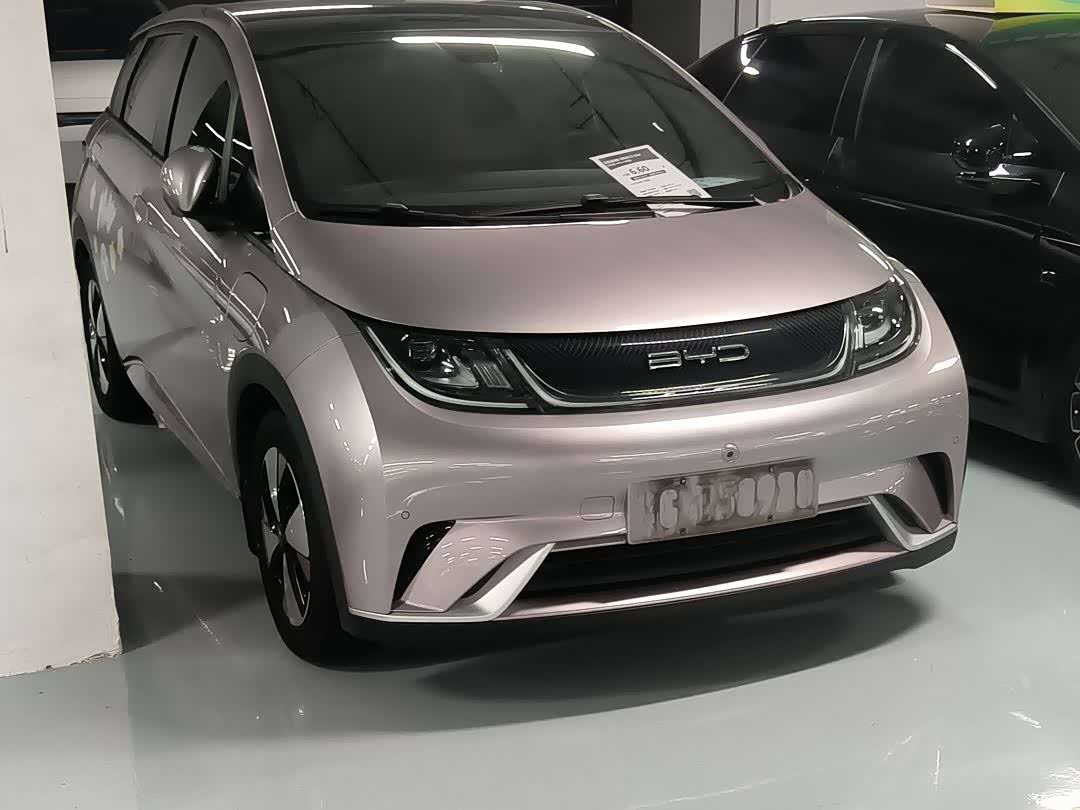 BYD Dolphin, 2023 12