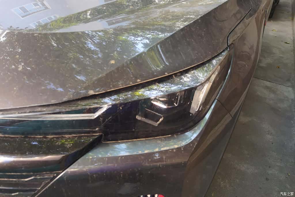 Changan CS55, 2021 все фото