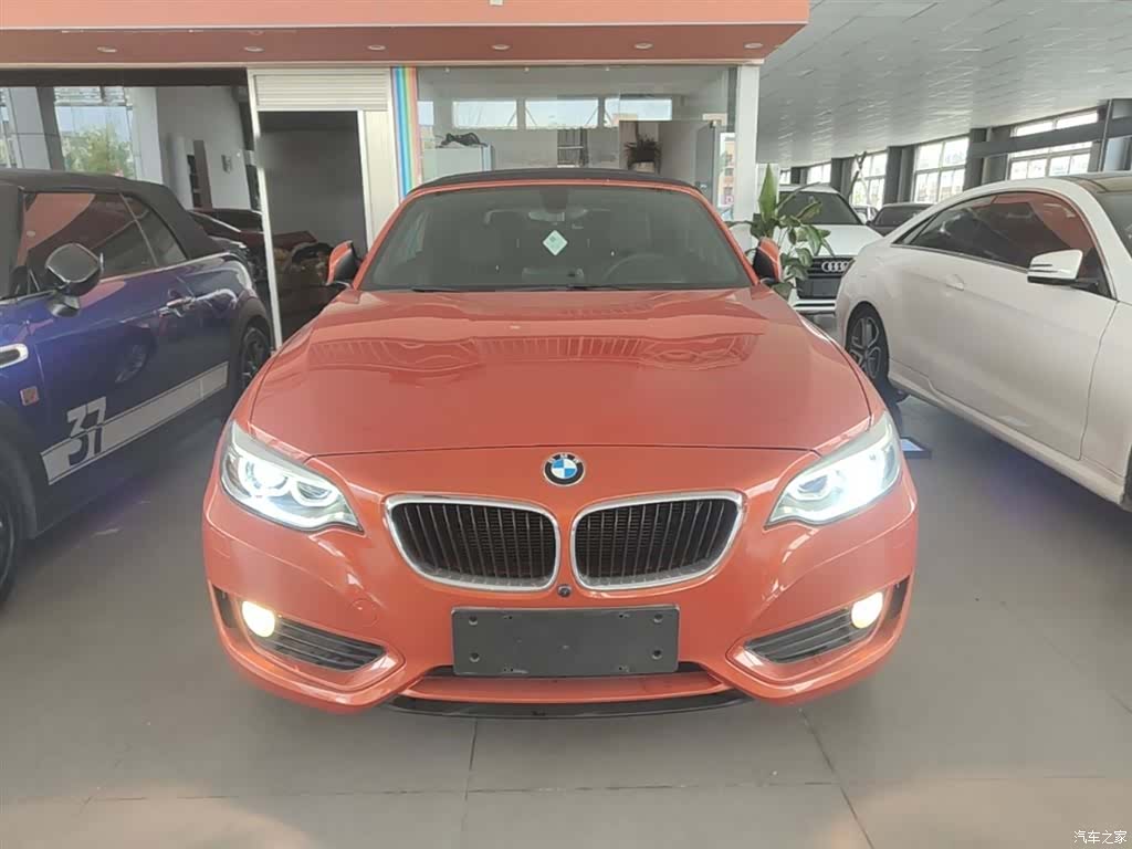 BMW 2 Series, 2017 3