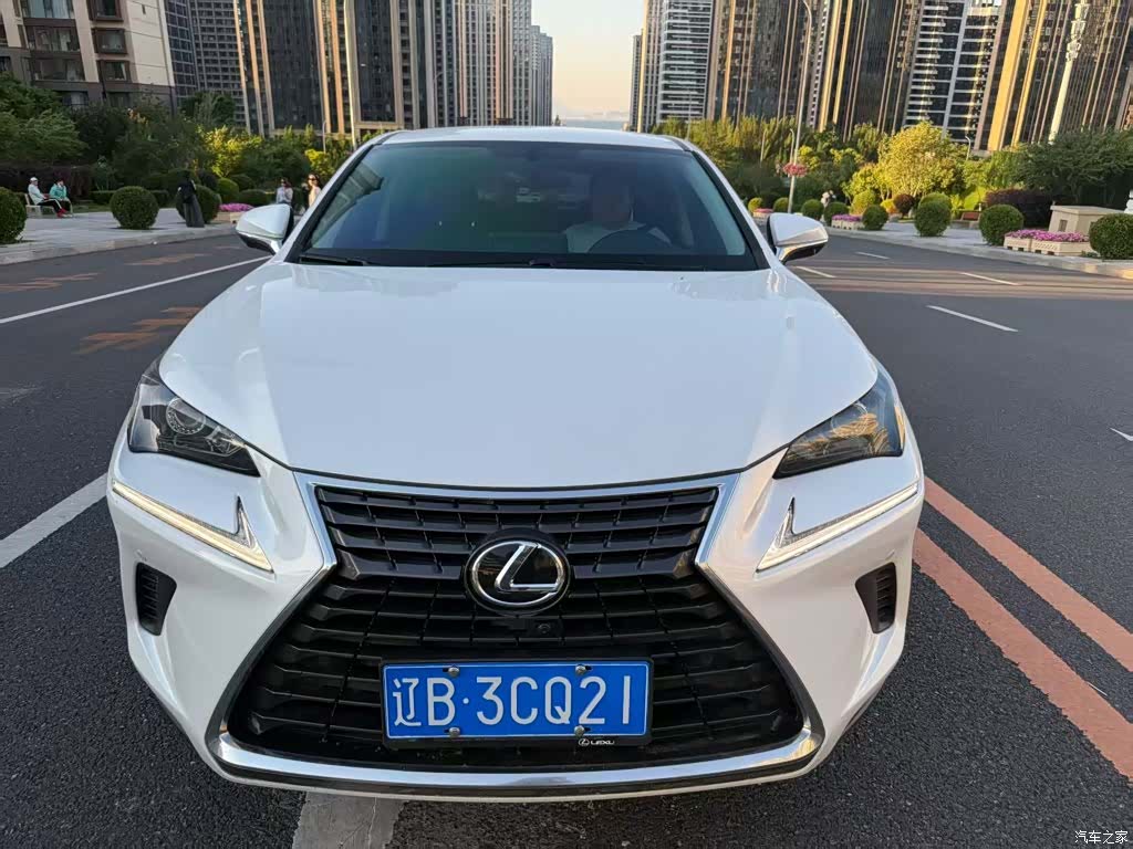 Lexus NX, 2020 2