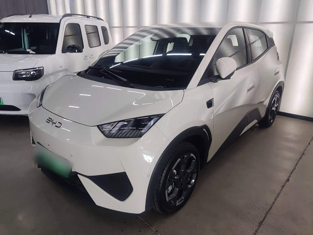 BYD Seagull