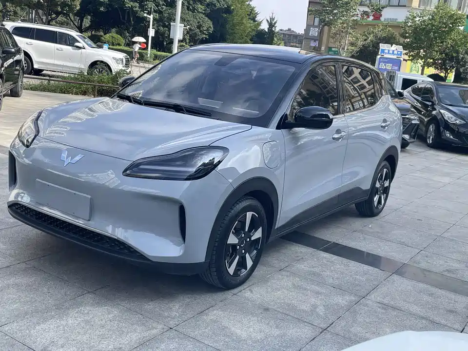 Wuling Wuling Bingguo PLUS