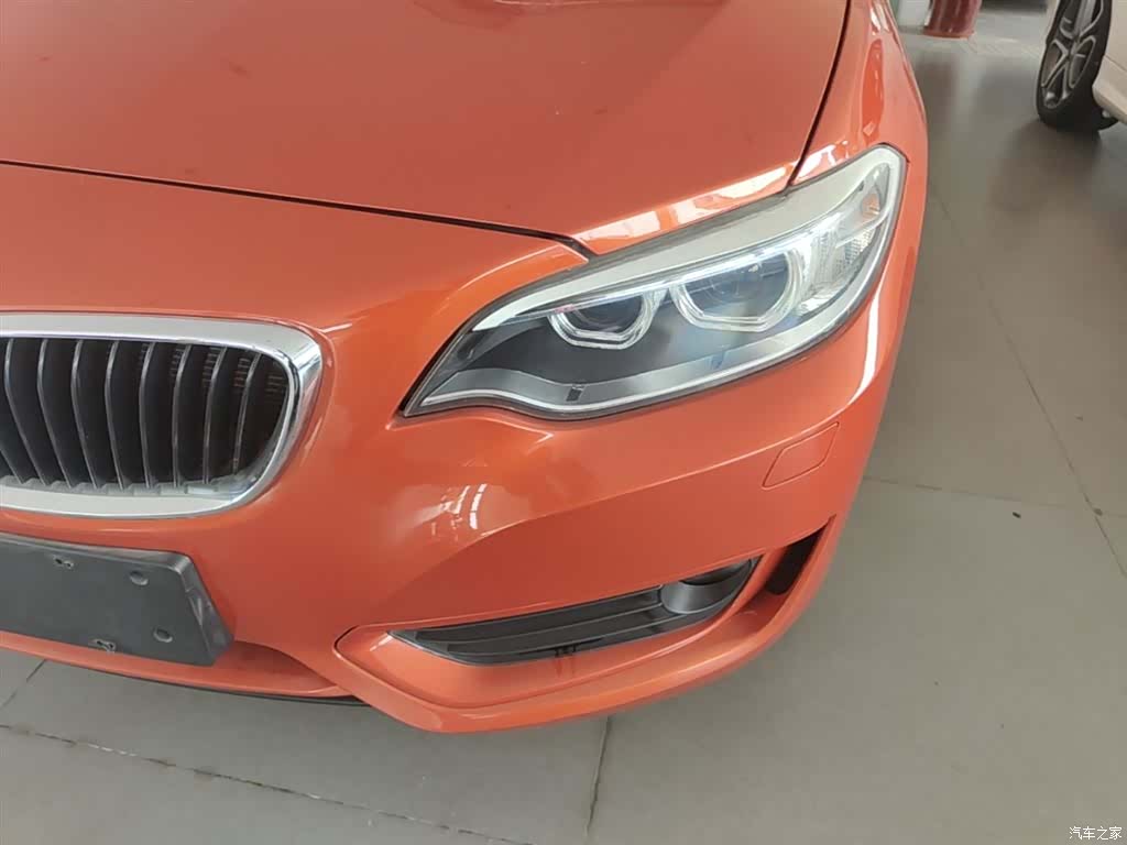 BMW 2 Series, 2017 24