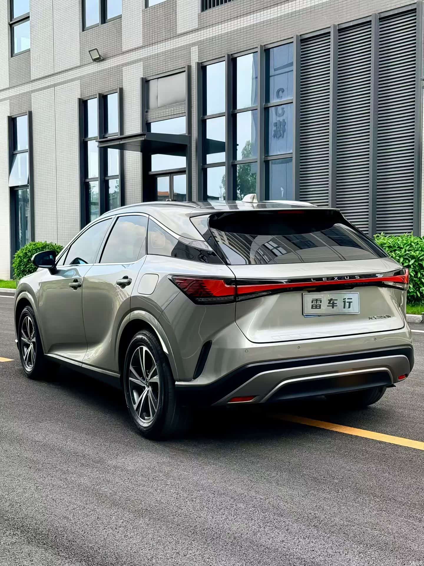 Lexus RX, 2024 7