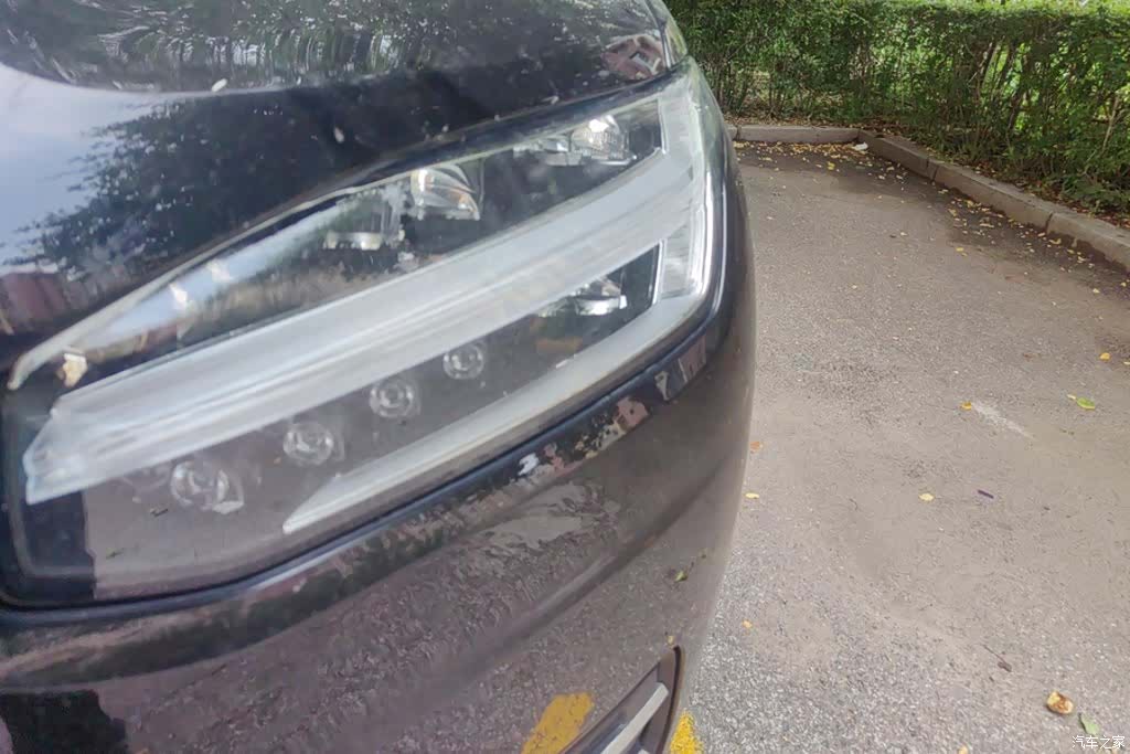 Volvo XC90, 2022 все фото