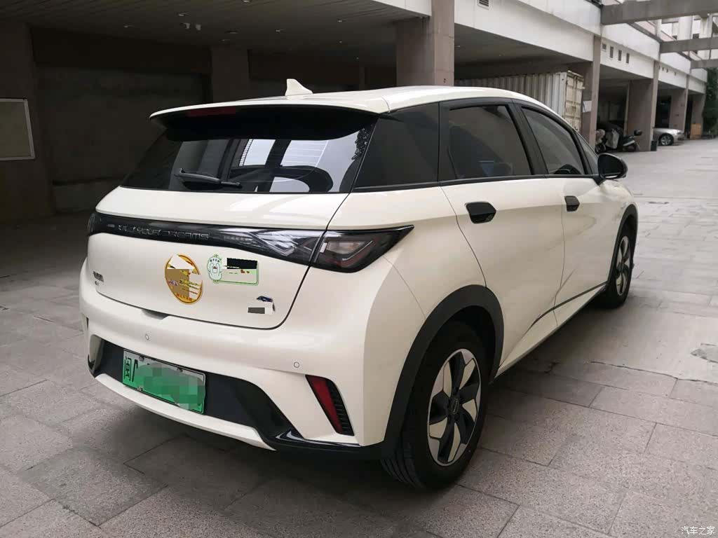 BYD Dolphin, 2025 12