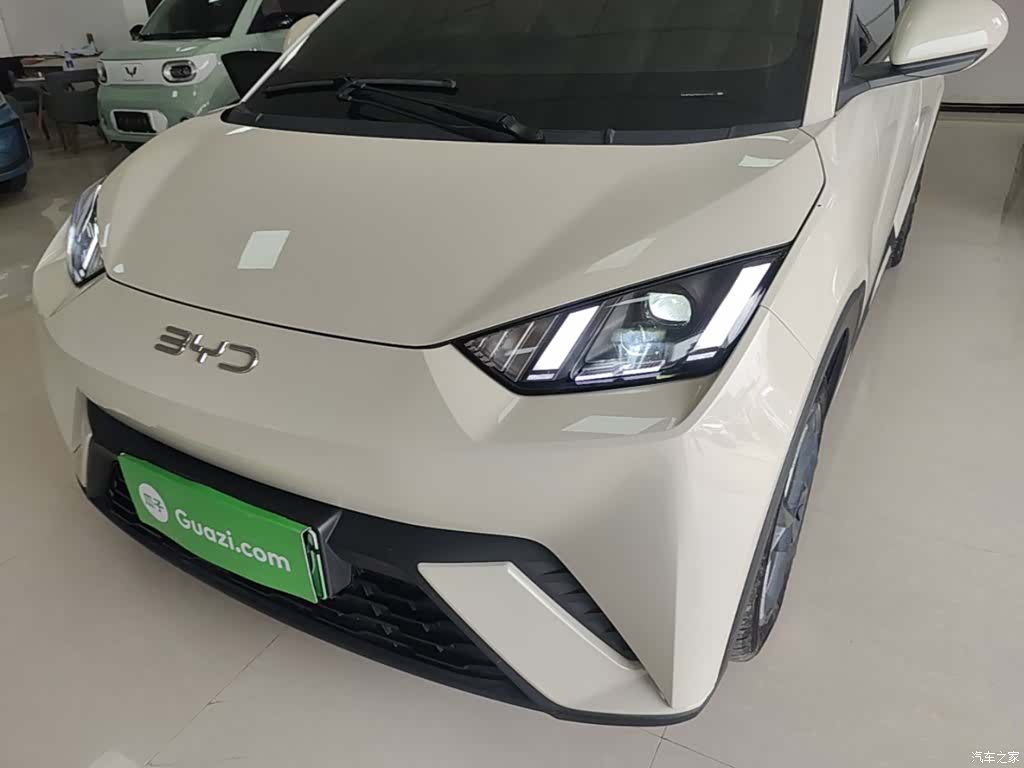 BYD Seagull, 2024 24