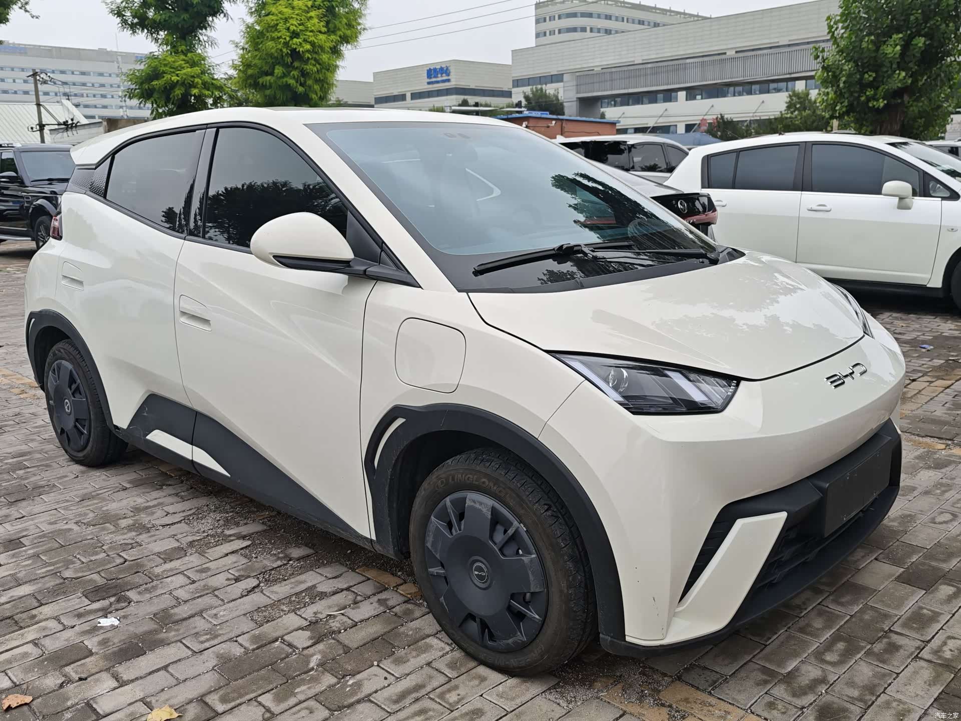 BYD Seagull, 2024 3