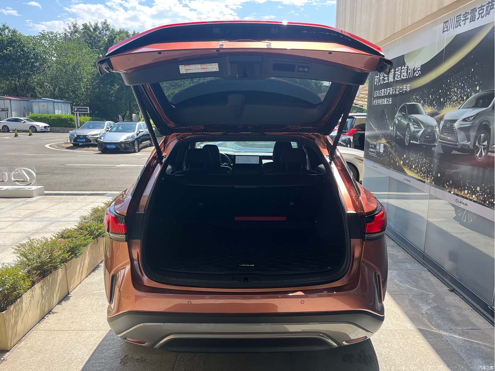 Lexus RX, 2023 8