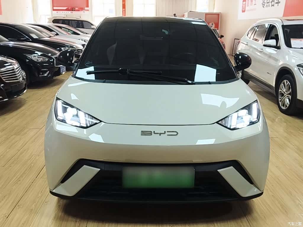 BYD Seagull, 2023 3