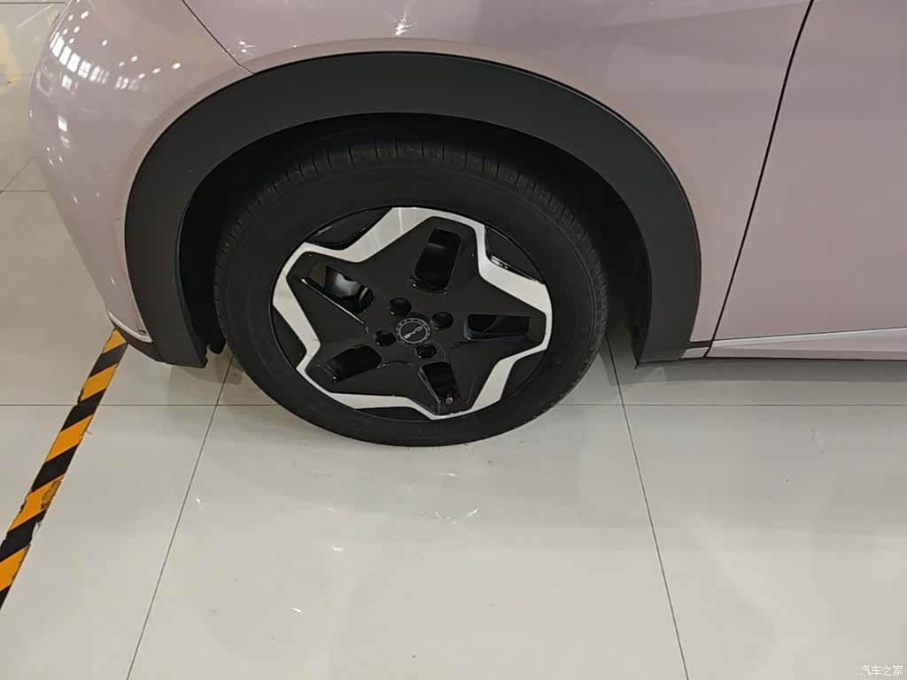 BYD Dolphin, 2022 23