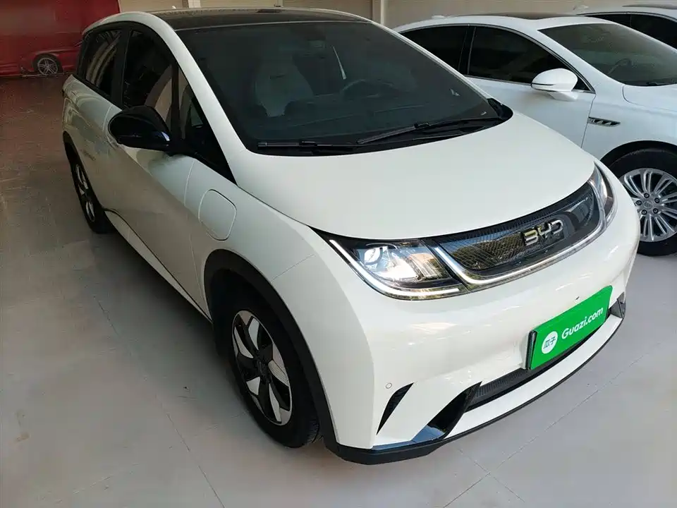 BYD dolphin