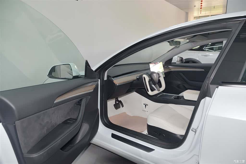 Tesla Model 3, 2021 8