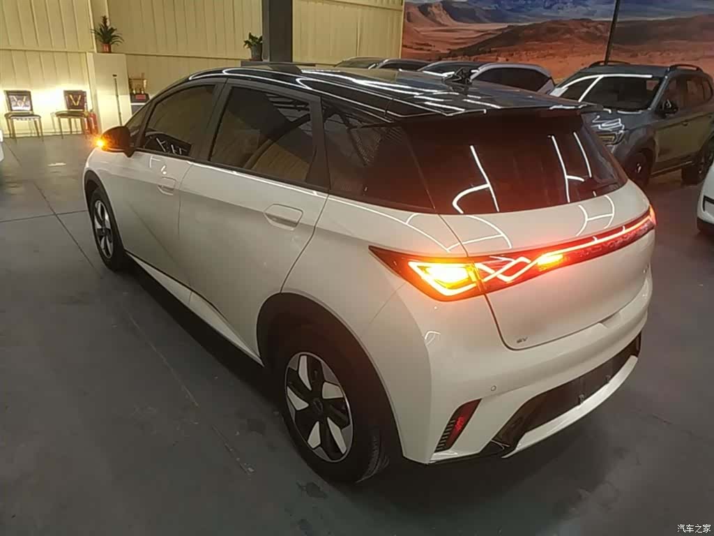 BYD Dolphin, 2025 все фото