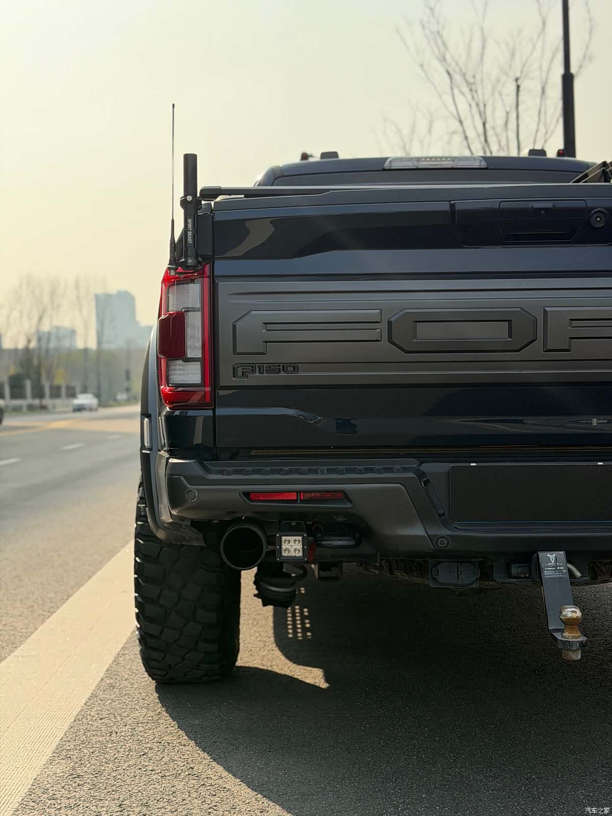 Ford F-150, 2023 все фото