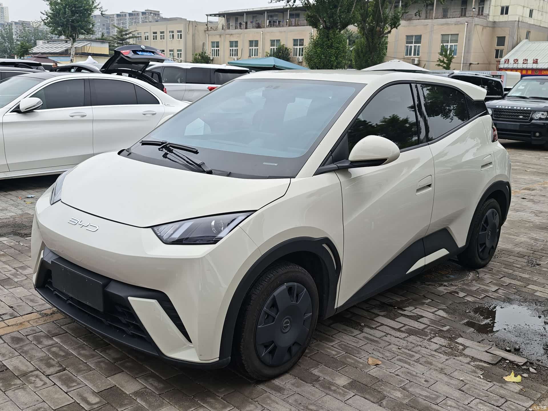 BYD Seagull, 2024 1