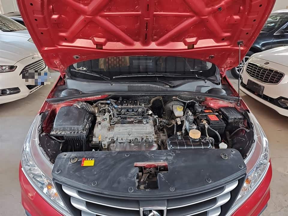 Baoding 310