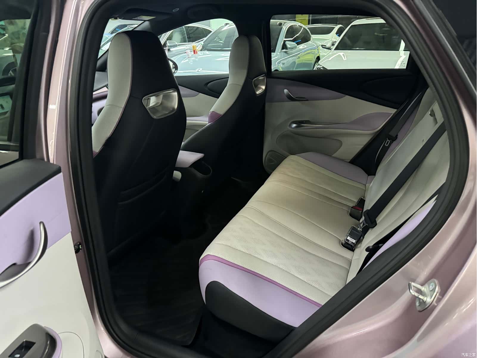 BYD Dolphin, 2024 6