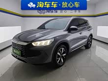 ��Pro����Դ 2024�� ��ҫ�� DM-i 110KM��Խ��