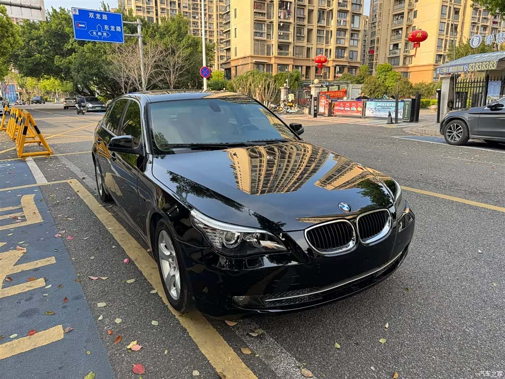 BMW 5 Series, 2010 7