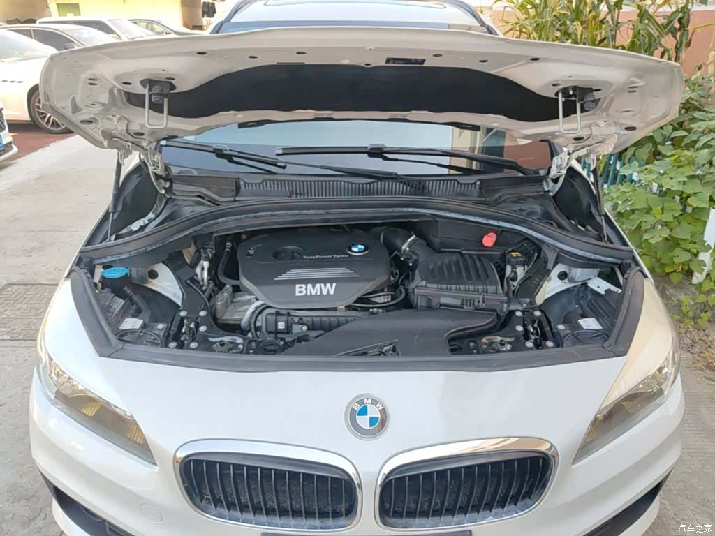 BMW 2 Series, 2017 20