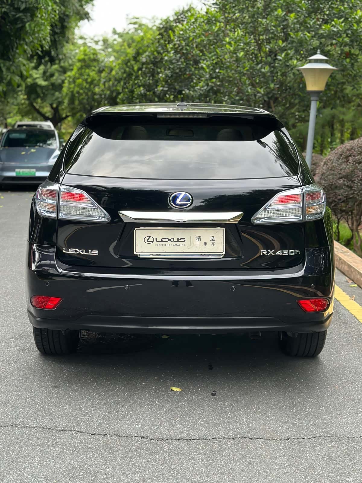 Lexus RX, 2012 4