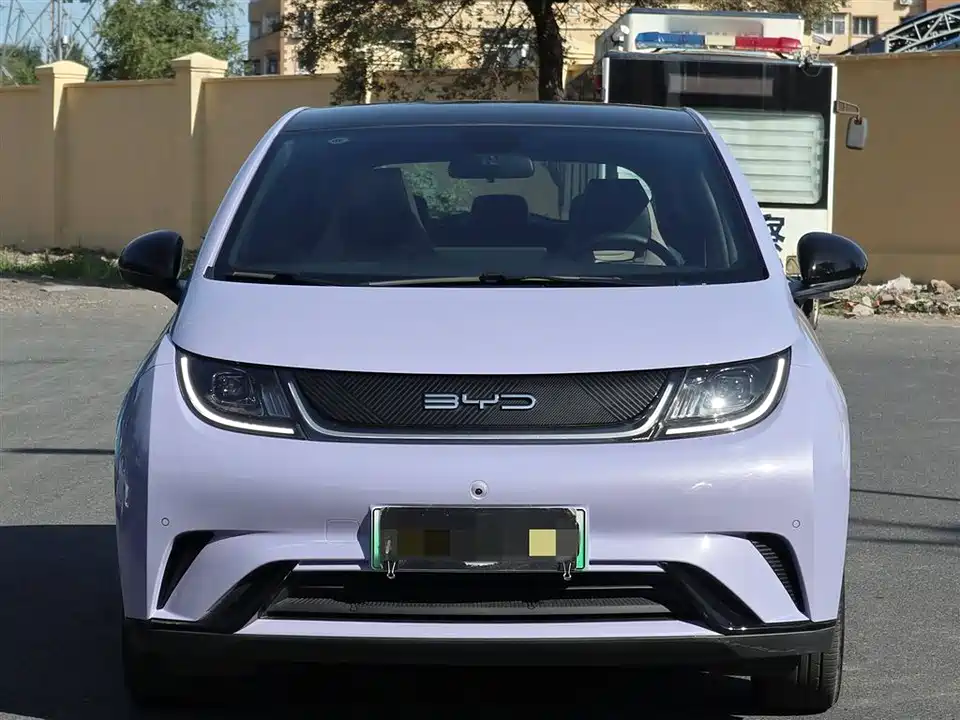 BYD dolphin