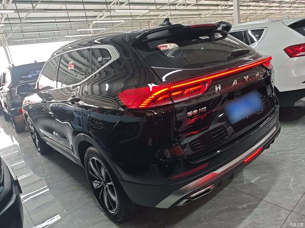 Haval H6, 2023 все фото