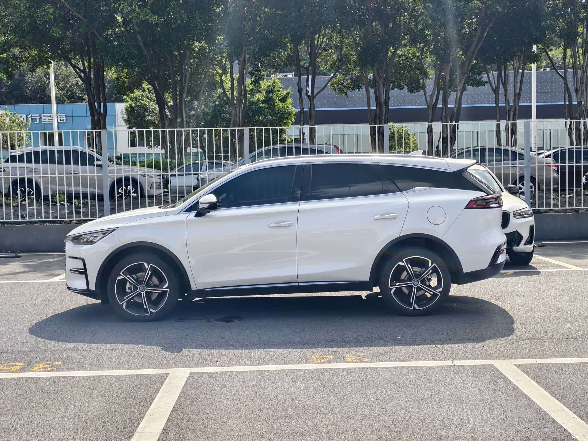 BYD Tang, 2022 все фото