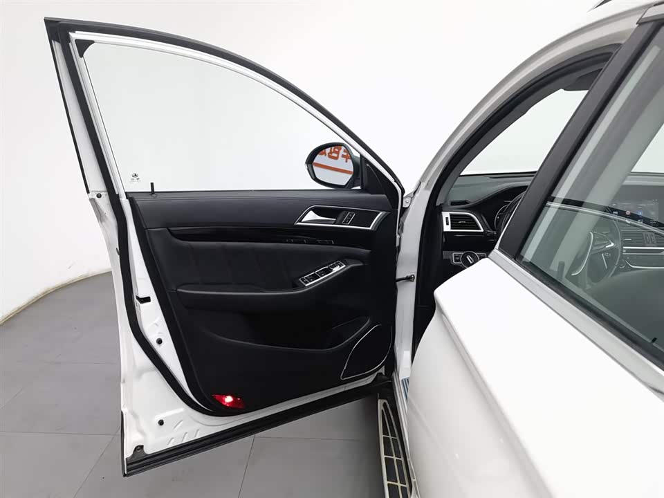 Leopaard Cheetah CS10