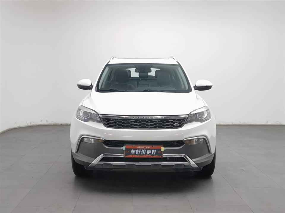 Leopaard Cheetah CS10