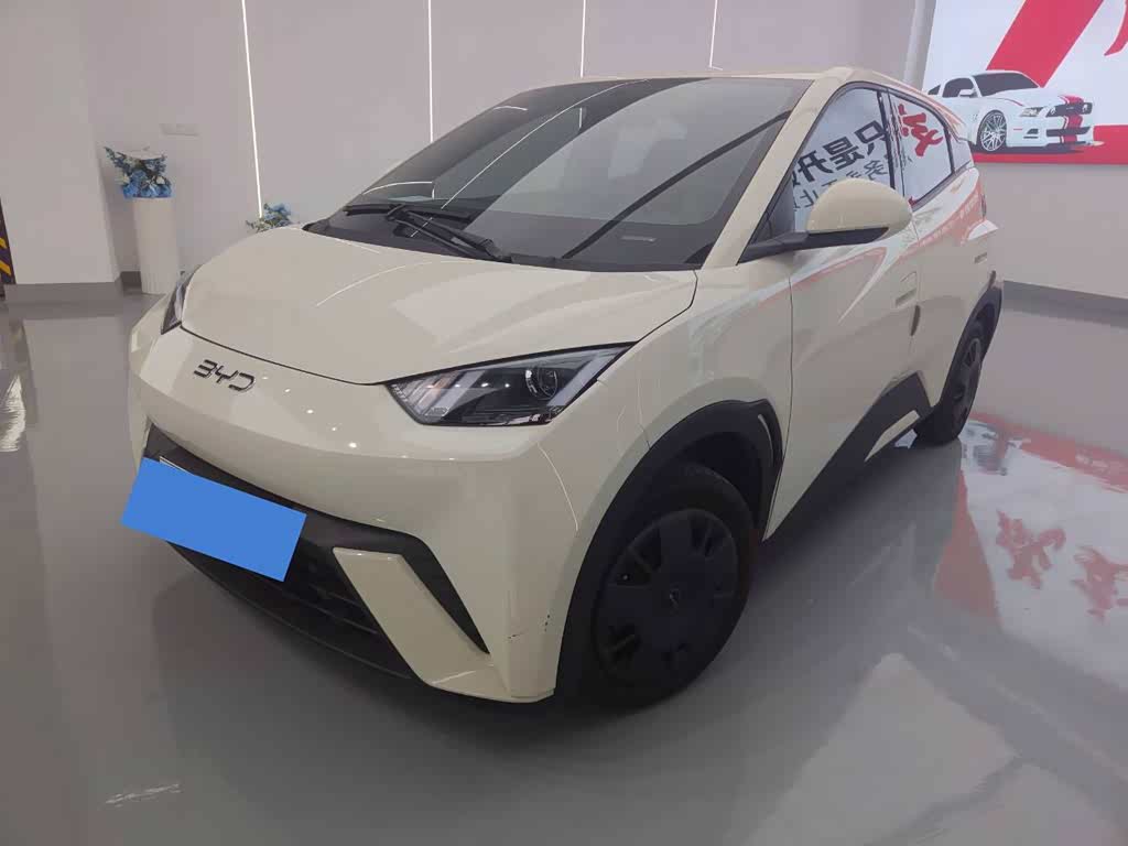 BYD Seagull 2025 305km