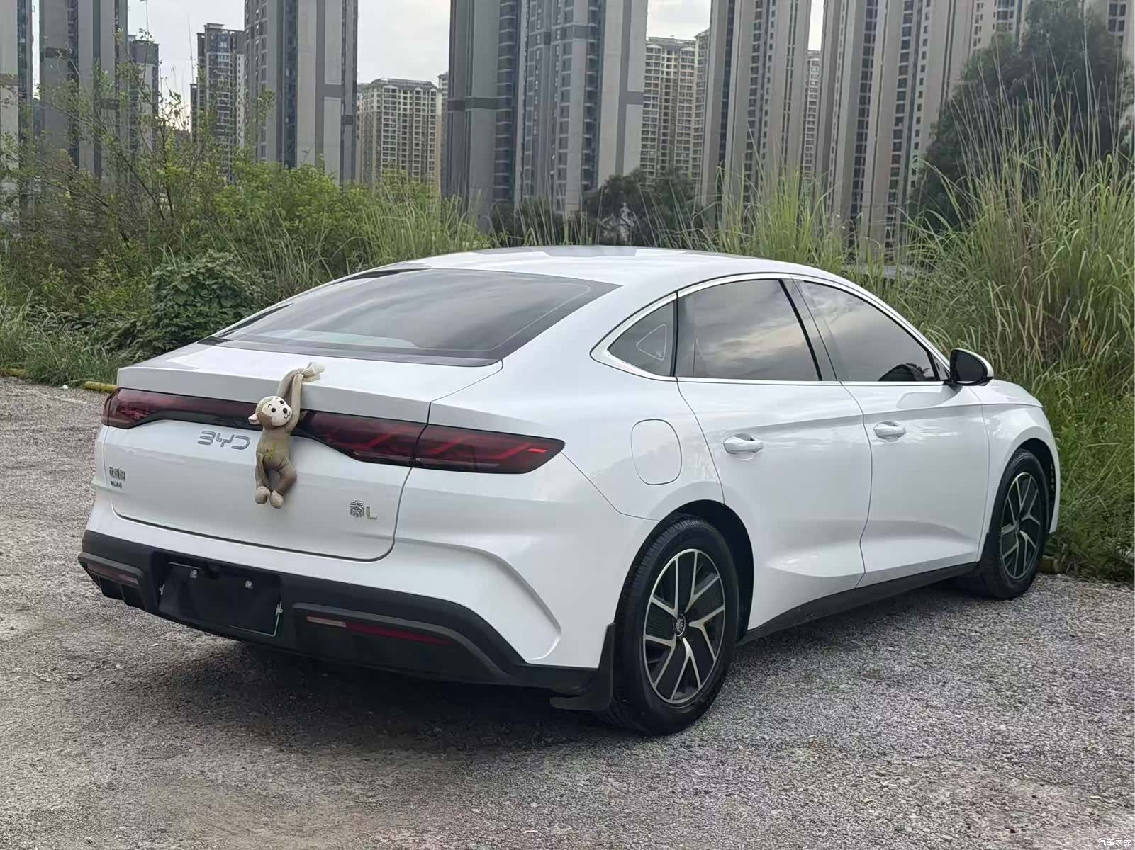 BYD Qin, 2025 7