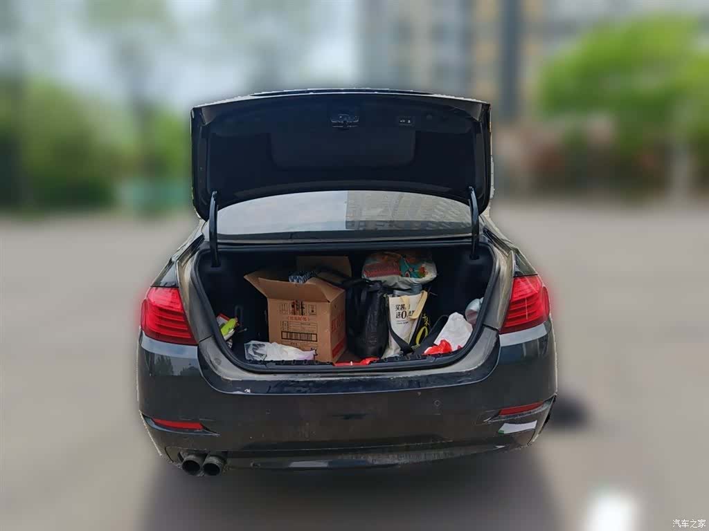 BMW 5 Series, 2015 20