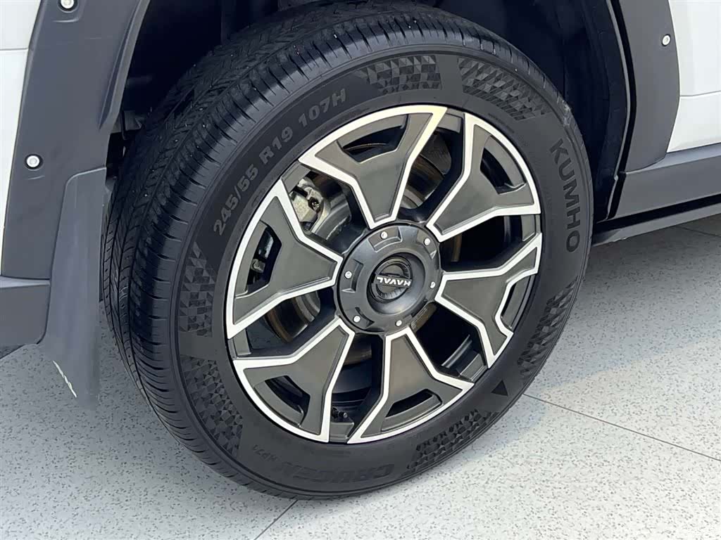 Haval Big Dog, 2024 35