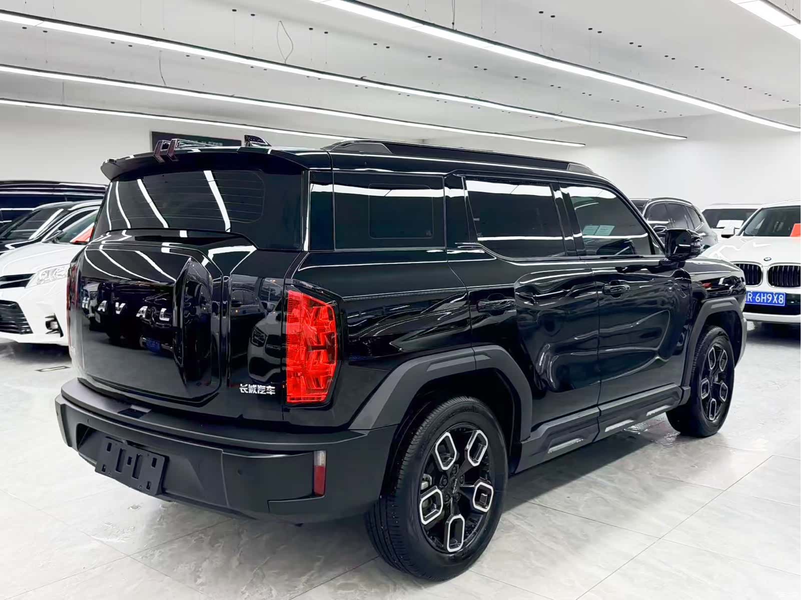 Haval Cool Dog, 2022 6
