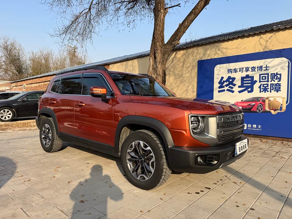 Haval Big dog
