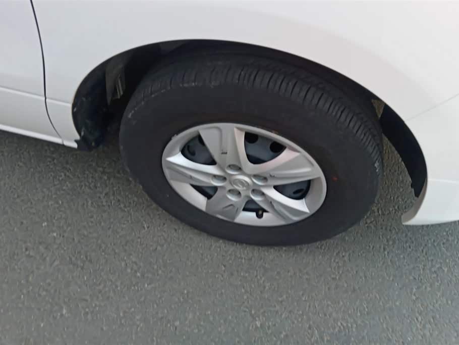 Forthing Lingzhi PLUS