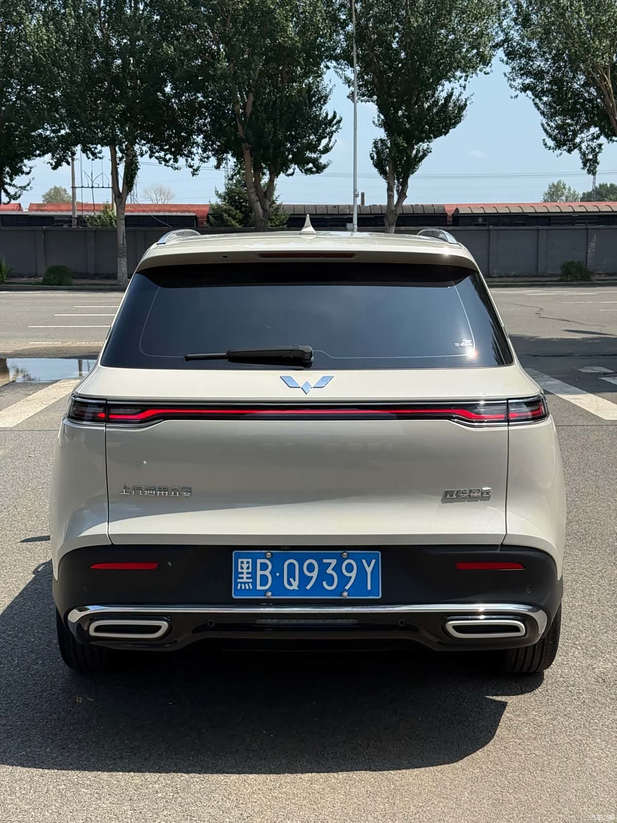 Wuling DHT, 2023 все фото