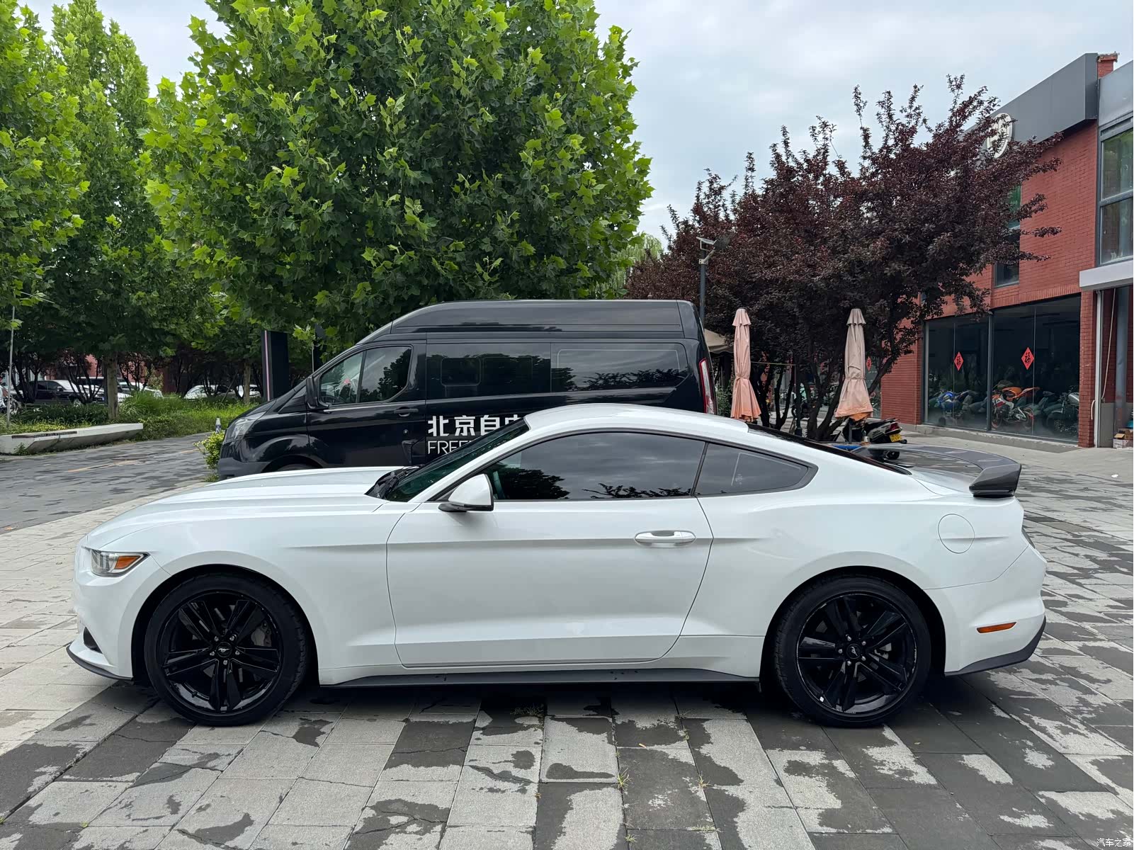 Ford Mustang, 2016 15
